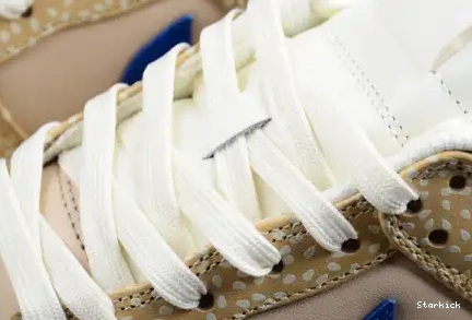 DZ4853-200 Montreal Low Bagel Sesame Dunk Nike 0613